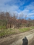 Парцел в С. Храбарско (Махала Беличка ръка), снимка 3