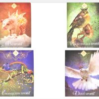 Оракул карти: Spirit Animal Oracle & Mystical Shaman Oracle & Shaman's Dream, снимка 11 - Карти за игра - 45388159