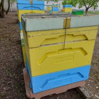 полистиролни кошери с пчели , снимка 5 - За пчели - 45483678