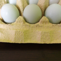Яйца от Маран , снимка 3 - Кокошки и пуйки - 44993606