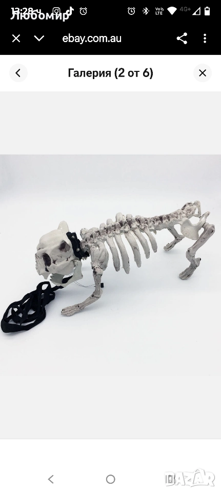 43 см декорация за Хелоуин с куче скелет на каишка , снимка 1