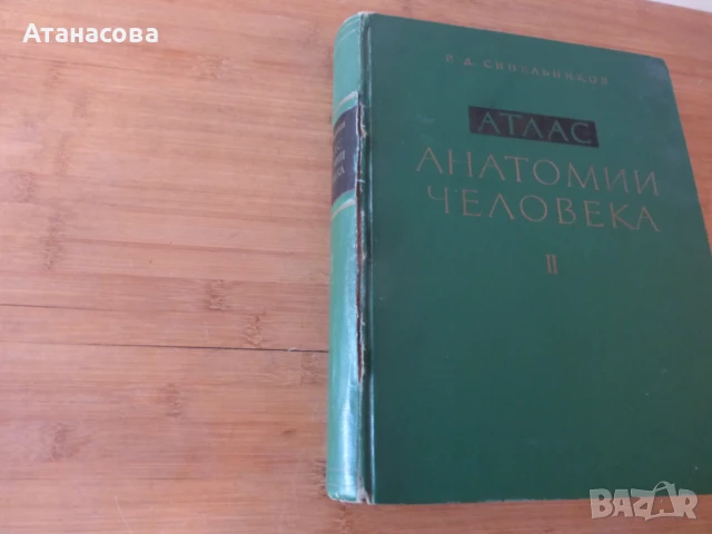 Атлас Анатомия на човека том 2 Синелников, снимка 13 - Енциклопедии, справочници - 50787735