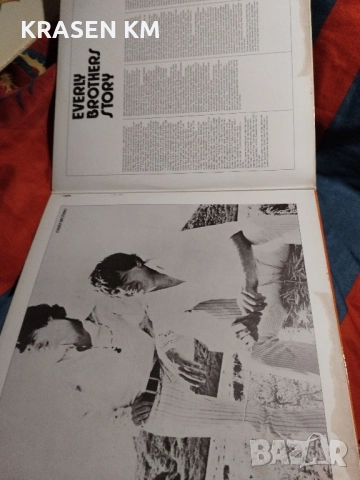 грамофонни плочи , снимка 3 - Грамофонни плочи - 52484404