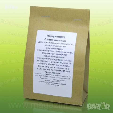 Билка Памуклийка