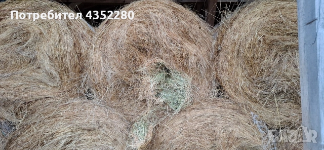 Бали ливадно сено, снимка 2 - За селскостопански - 53066246