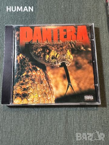 Pantera , снимка 8 - CD дискове - 46113925