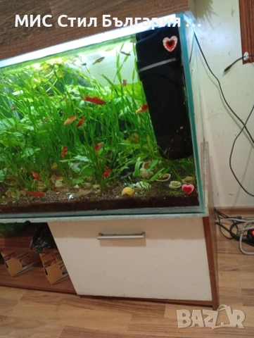 Аквариум 130л., снимка 2 - Аквариуми - 53143358