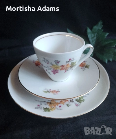 Немски сервиз за кафе- 21части, снимка 6 - Сервизи - 52175404