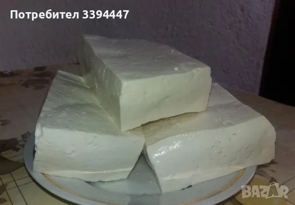 Биволско сирене , снимка 1 - Домашни продукти - 48454452