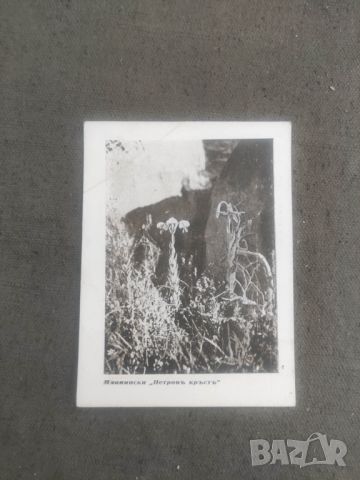 Продава пощенски картички Сп. и Н. Ив Божинови 1927 : лъжене ,Пирин,Банско.., снимка 3 - Филателия - 46239736