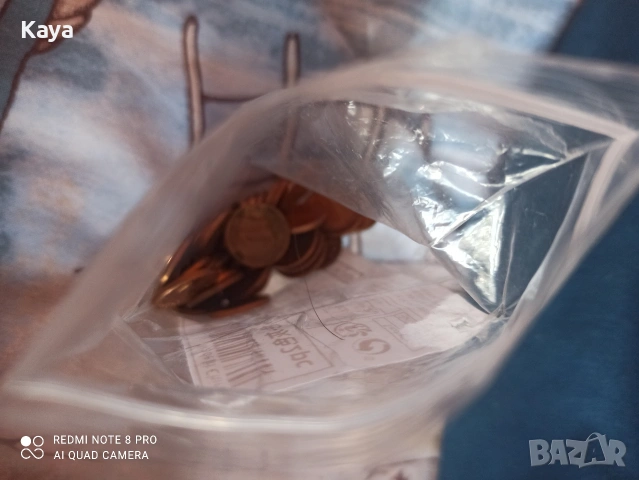 Уникални 100гр 1 стотинки , снимка 5 - Декорация за дома - 53495431