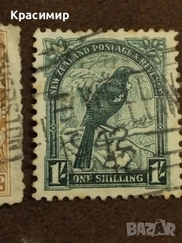 Нова Зеландия 1898 г , снимка 4 - Филателия - 52498577