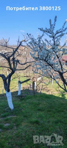 Къща с панорамна гледка , снимка 18 - Къщи - 42022460