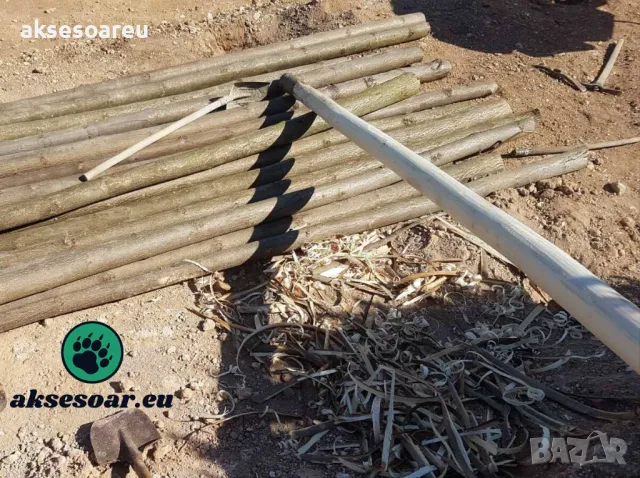 400 качествени семена от красиво декоративно медоносно дърво пауловния томентоса декорация украса, снимка 6 - Сортови семена и луковици - 50387864