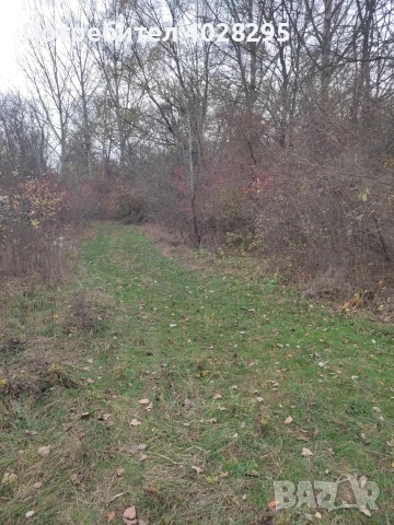 Имот в с.Габер , снимка 5 - Парцели - 53981887