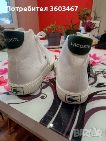 Lacoste кецове сникърси , снимка 3 - Кецове - 47644466