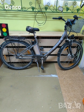 ALU REX NEMSKO KOLELO