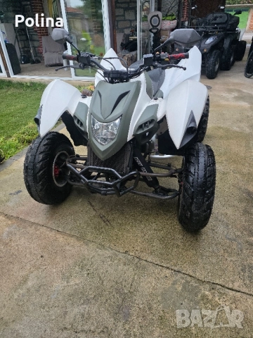 2 ATV Herkules Adly 
