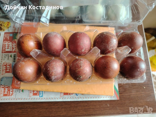 разплодни яйца Маран.