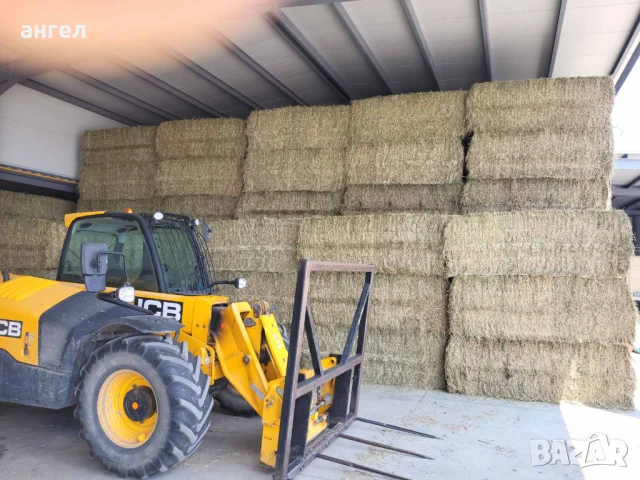 Големи бали люцерна , снимка 3 - За селскостопански - 50630027