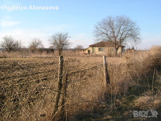 Превъзходен голям парцел от селска земя в регулация в Златия, снимка 5 - Парцели - 53635253