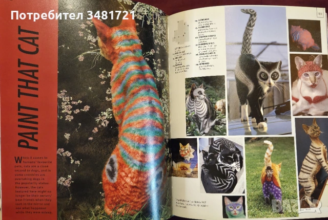 Добре дошли на планетата - справочник за извънземни / Earth. A Visitors Guide, снимка 13 - Енциклопедии, справочници - 53883041