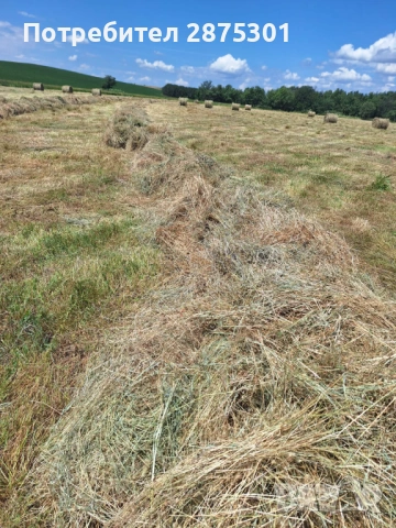Бали Сено, снимка 6 - За селскостопански - 53941423