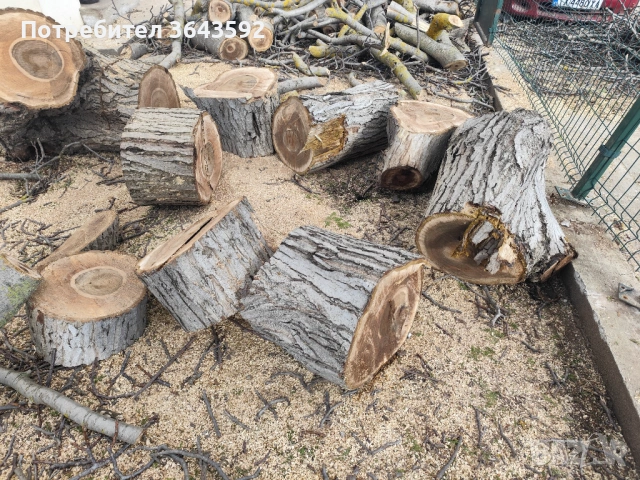 Продавам орехов материал, снимка 2 - Дърводелски услуги - 53634254