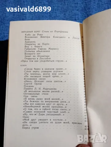 Михаил Дудин - Далечният път , снимка 12 - Художествена литература - 47884115