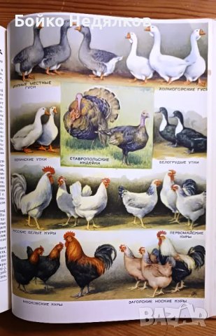 (264) "Детская Энциклопедия" , снимка 7 - Енциклопедии, справочници - 50023461