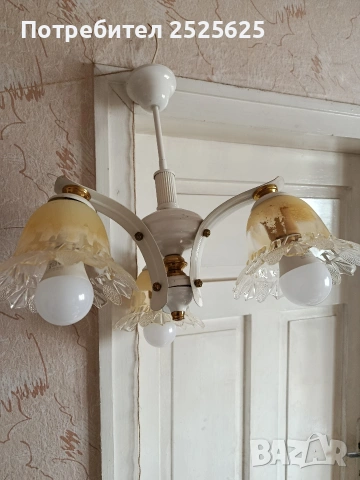 Стар полилей