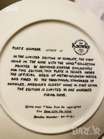 порцеланова чиния за стена , снимка 4 - Декорация за дома - 52635111