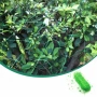Мрежа за увивни растения и зеленчуци 1.2х20 м, Око 15х17 см , снимка 4