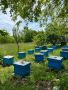 Продавам пчелни кошери със семейства, снимка 1 - Стоки за пчели - 46020064