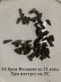 Охлюви Мелания /  (Melanoides tuberculata), снимка 1