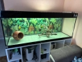 Аквариум 740л. с оборудване, снимка 1