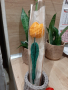 Плетени цветя- рози, лалета, карамфили, снимка 6