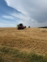 Claas dominator 98, снимка 1