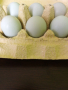 Яйца от Маран , снимка 3