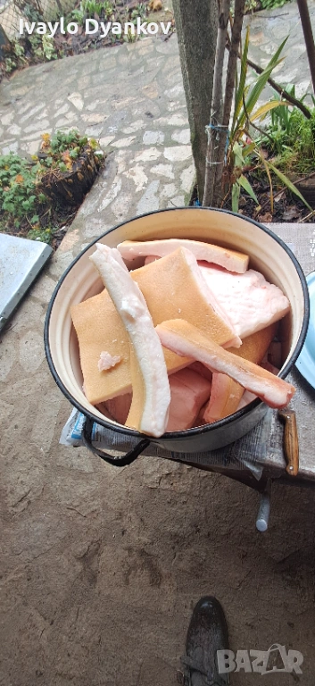 Сланина с кожа , снимка 1