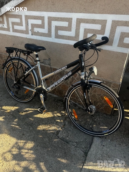 PEGASUS SOLERO 26”cola, снимка 1