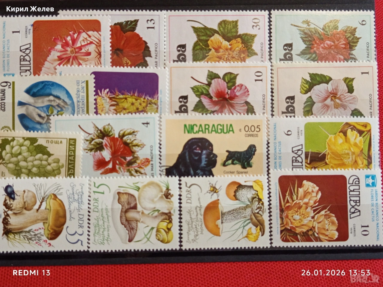 Стари пощенски марки от цял свят смесени ГЪБИ, ЦВЕТЯ, ЖИВОТНИ за КОЛЕКЦИЯ 51979, снимка 1
