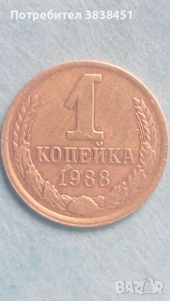 1 копейка 1988 года Русия, снимка 1