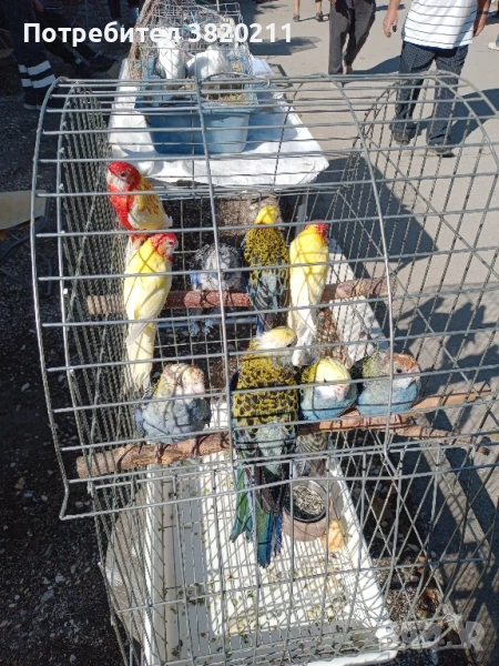 Продавам розели, снимка 1