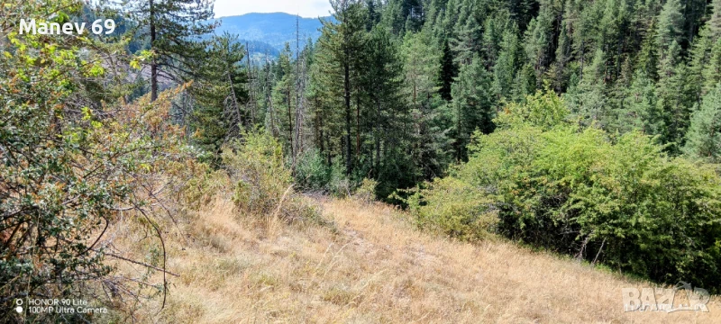 Продавам парцел в Родопите  с.Габрица.🌲, снимка 1