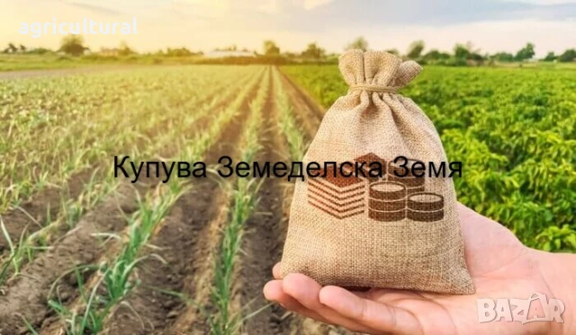 Купува Земеделска Земя 