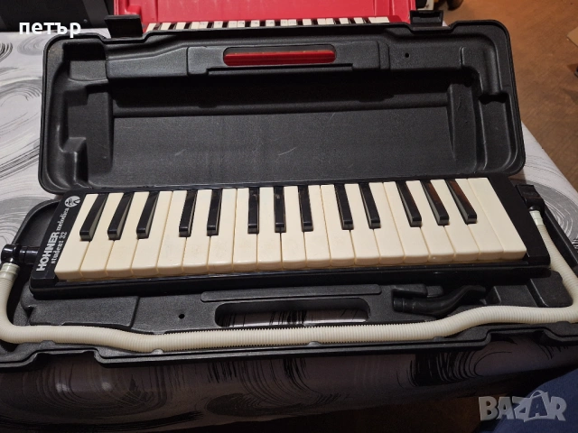 Устна хармоника Мелодика, снимка 5 - Духови инструменти - 53826108