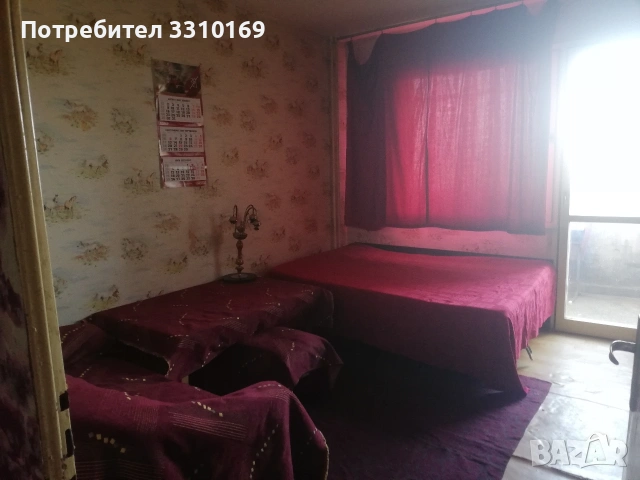 стая под наем , снимка 2 - Стаи под наем - 53473367