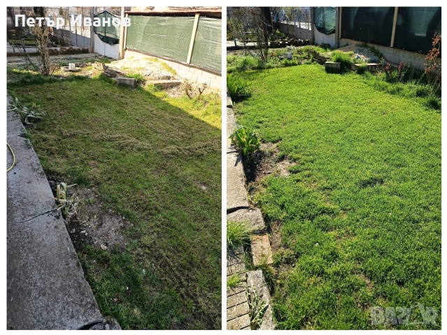 Косене на дворове, райграс, аериране, кастрене на клони, снимка 3 - Други услуги - 50847139