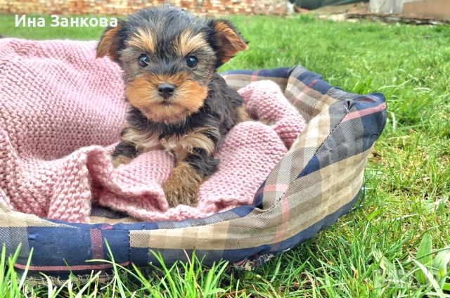 родени на 11.02 с поставена първа ваксина